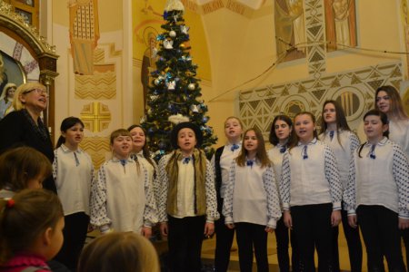 ��ײ� в�����ί ������
