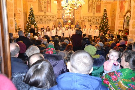 ��ײ� в�����ί ������