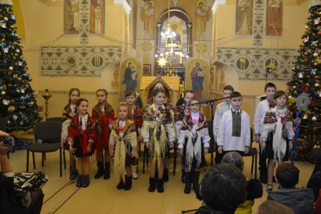 ��ײ� в�����ί ������